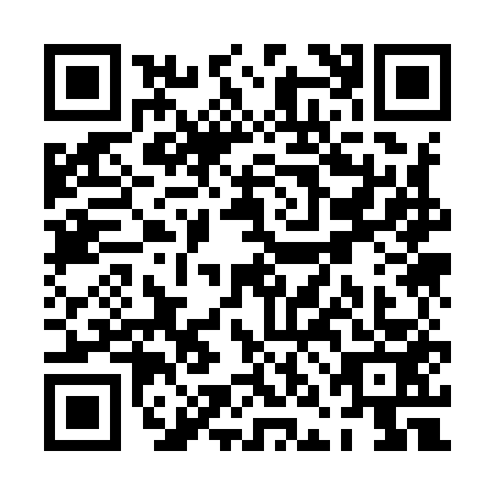 QR code for PNK9534