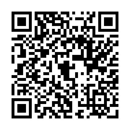 QR code for PNU2379