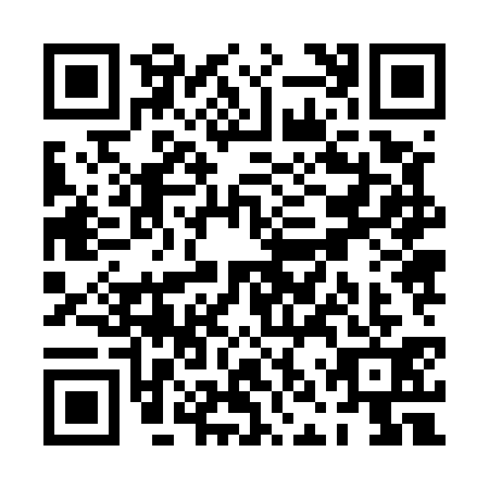 QR code for PNZ5313