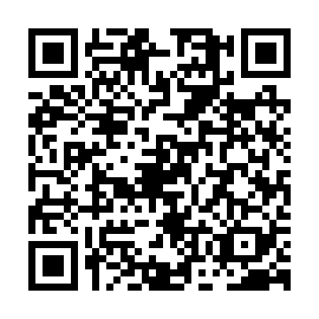 QR code for POE2295