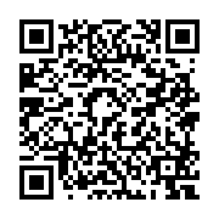 QR code for POI3828