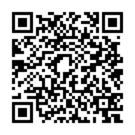 QR code for POO0339