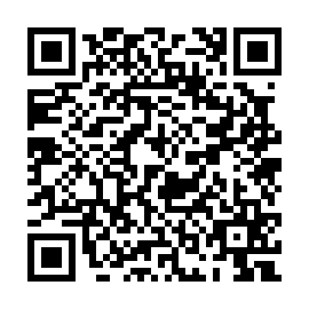 QR code for POO0656