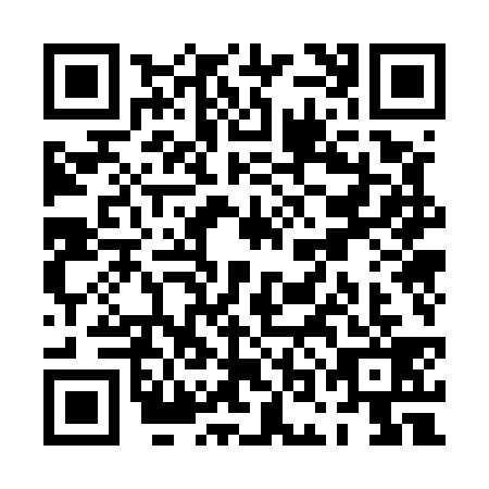 QR code for POO5393