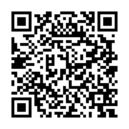 QR code for PPA0663