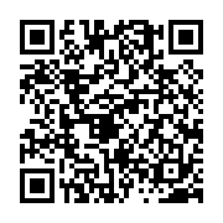 QR code for PPD0333