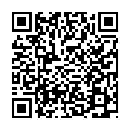 QR code for PPE2595