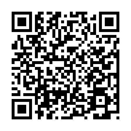 QR code for PPF6541