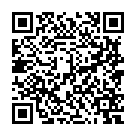 QR code for PPH8667
