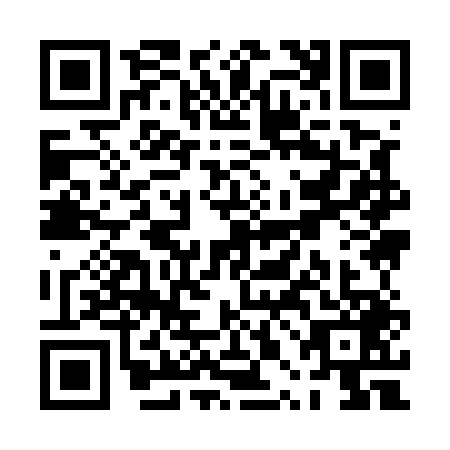 QR code for PPI5491
