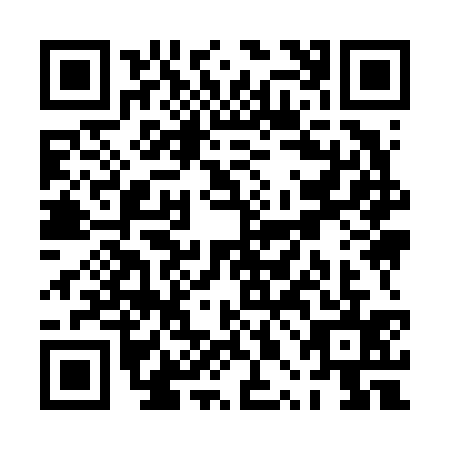 QR code for PPI6356