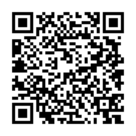 QR code for PPN4313