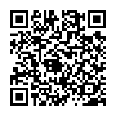 QR code for PPN6287