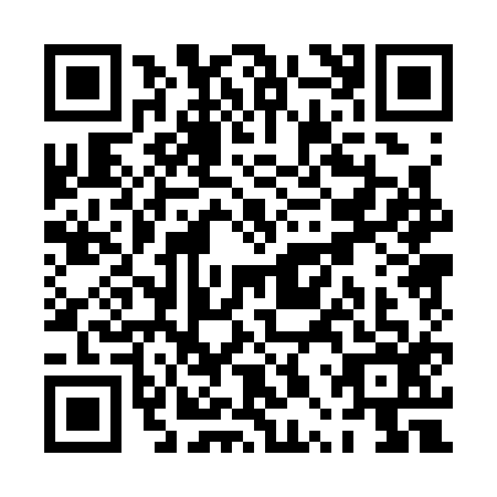 QR code for PPP3160