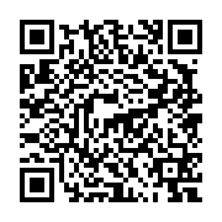 QR code for PPP4602