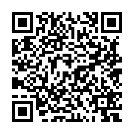 QR code for PPP8294