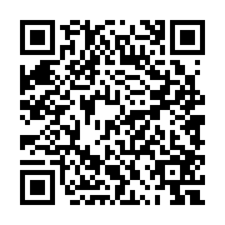 QR code for PPT3063