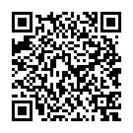 QR code for PPT6309