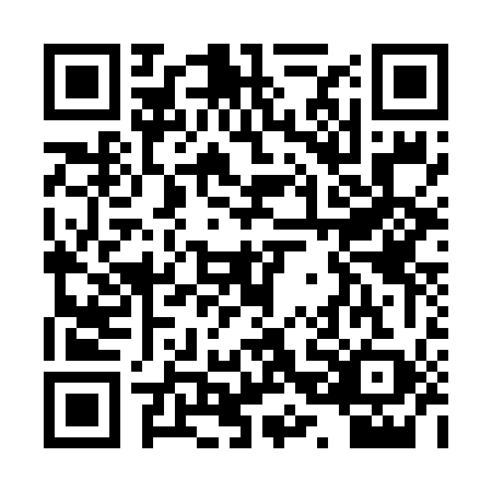 QR code for PRG6597