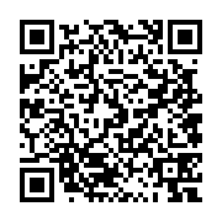 QR code for PSV0789