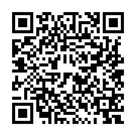QR code for PUB9605
