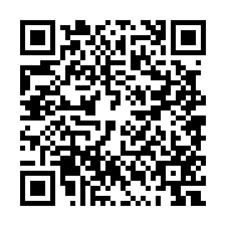 QR code for PUN0579