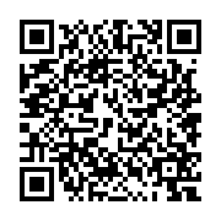 QR code for PUN1667