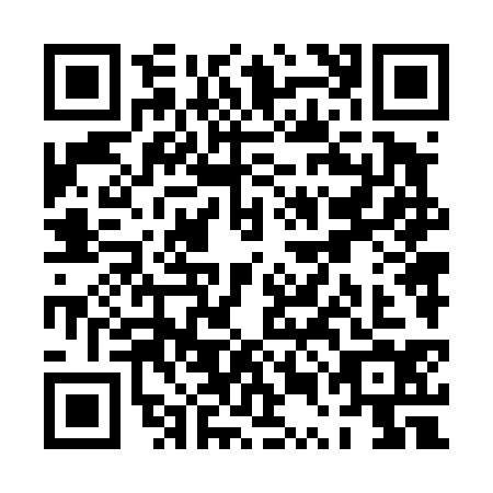 QR code for PUN4347