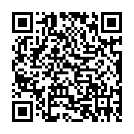 QR code for PUN9171