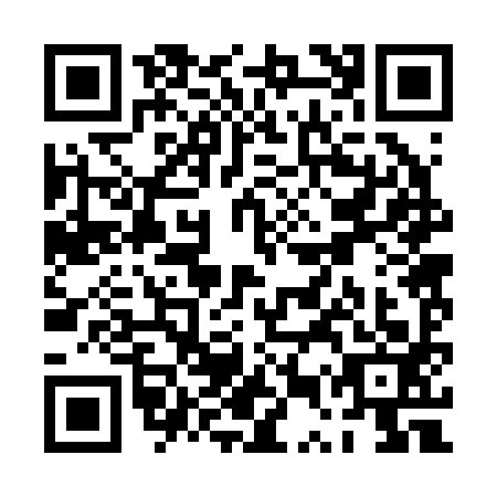 QR code for PUR2936