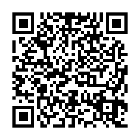 QR code for PUR9638