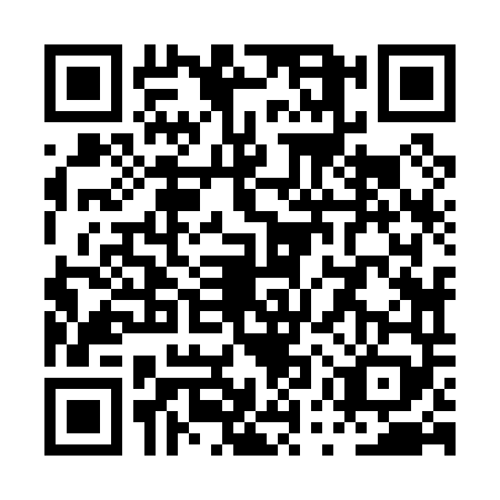 QR code for PUZ0497