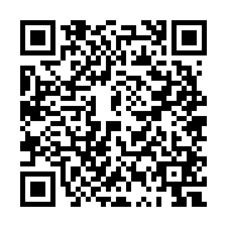 QR code for PUZ6419