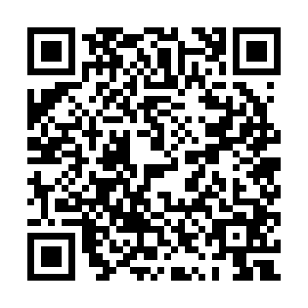 QR code for PYG2446