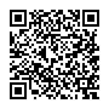 QR code for PYG9113