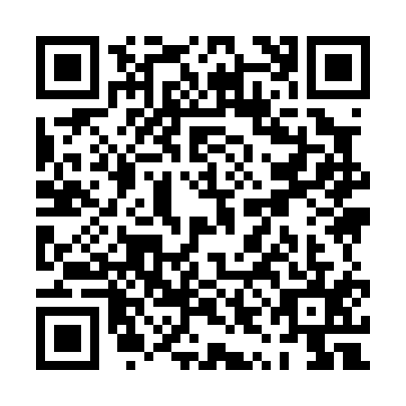 QR code for PYI0153