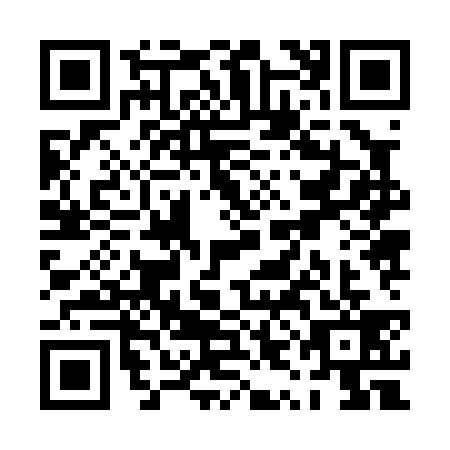 QR code for PYJ0392