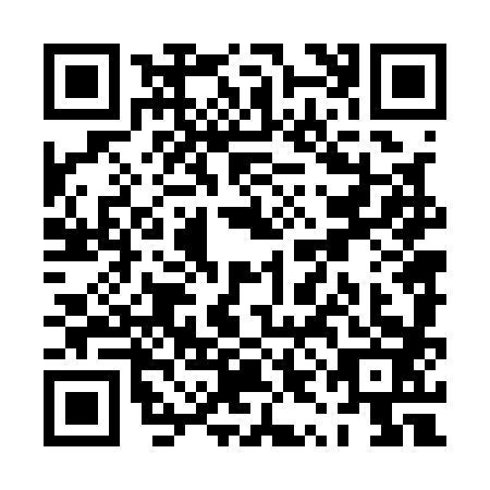 QR code for PYN1838