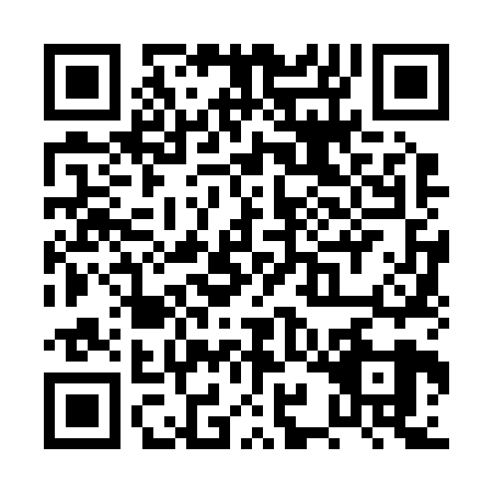 QR code for PYN2291