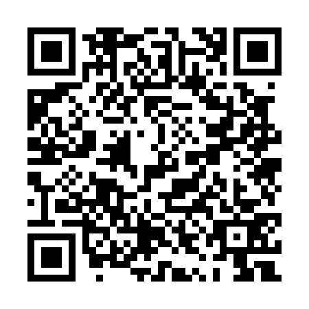 QR code for PYO0739