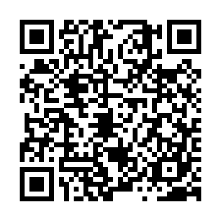 QR code for PYS0675