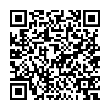 QR code for PZJ9729
