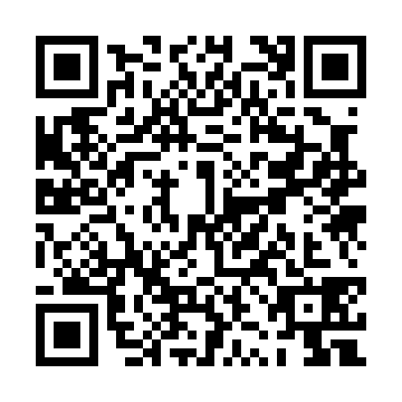 QR code for PZK0380