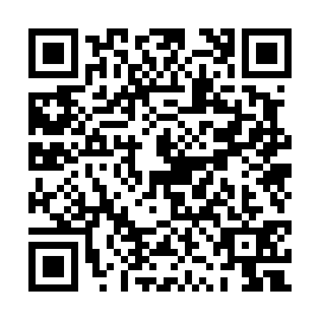 QR code for PZO4311