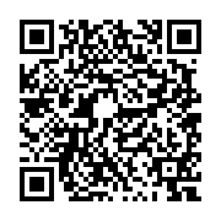 QR code for PZR4911