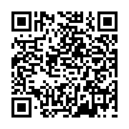 QR code for PZT2784