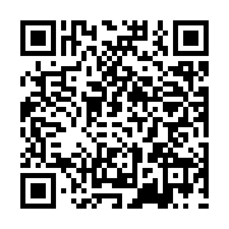QR code for PZT3884
