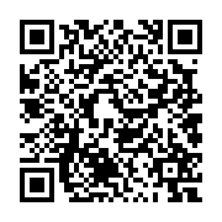 QR code for PZV0273