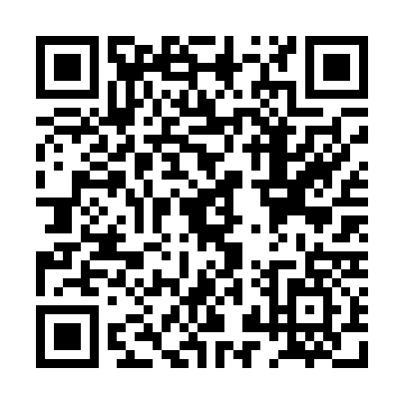 QR code for PZV0373