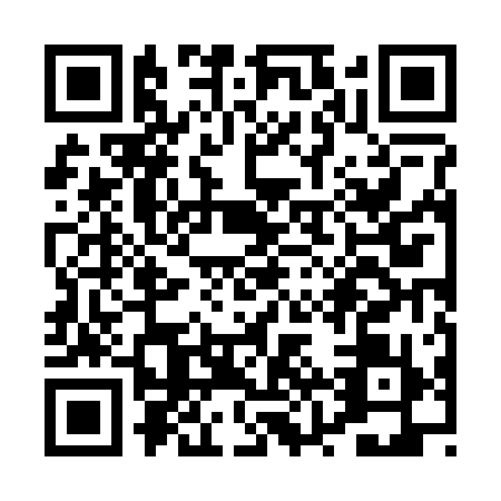 QR code for PZZ2195